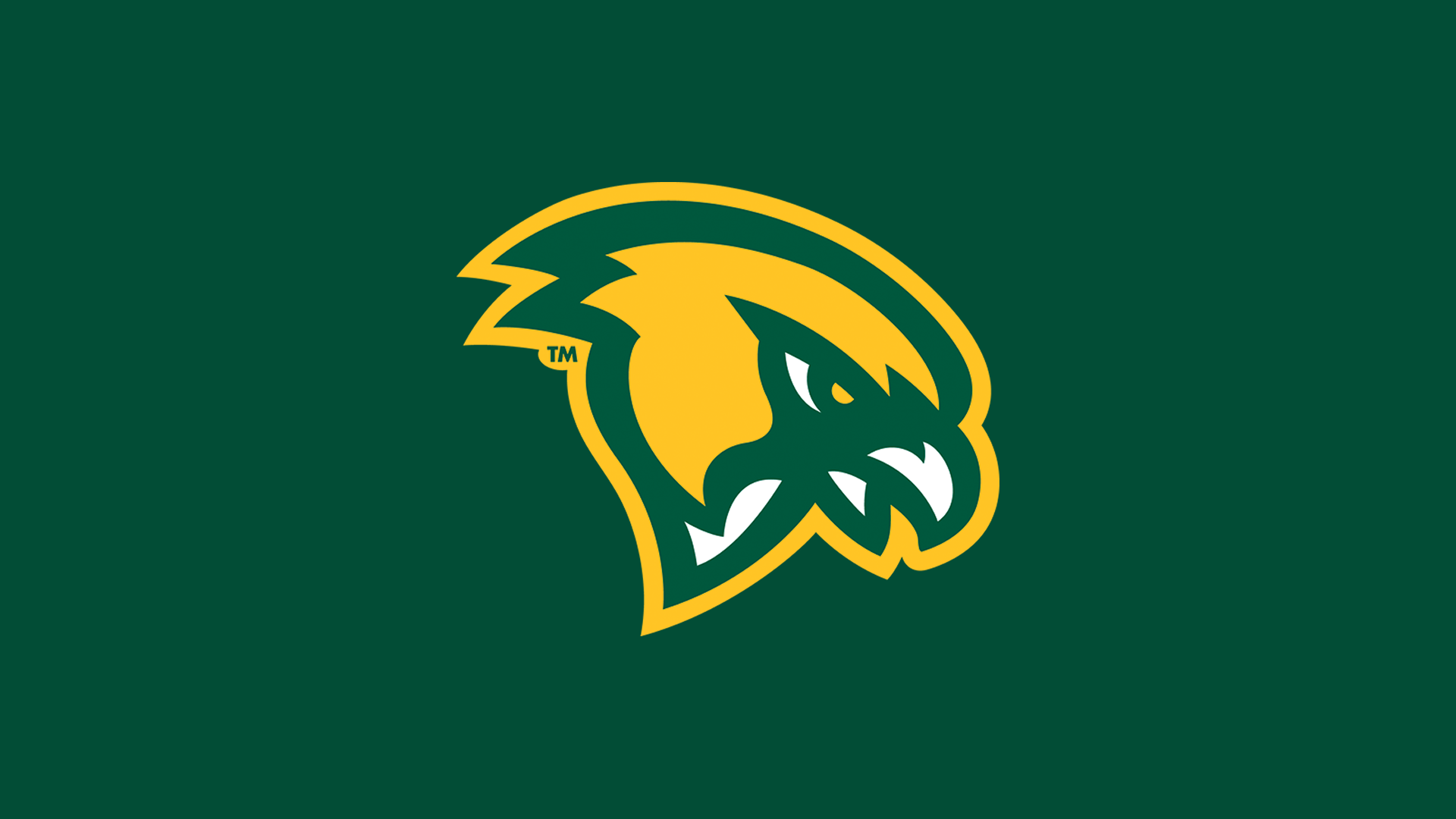 Fitchburg State Downs Rivier, 79-69