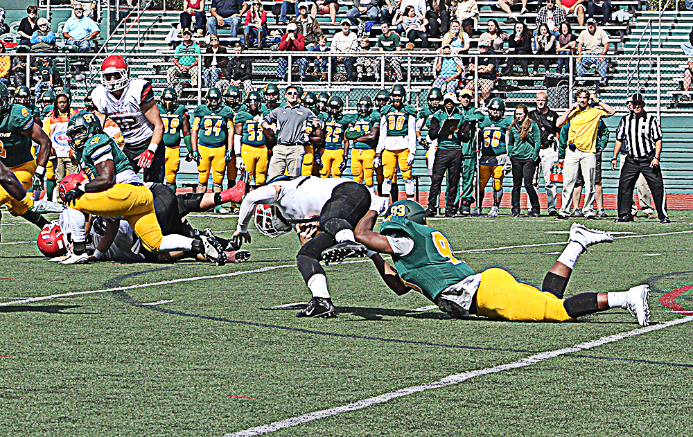 Football Collects Nine All-Conference Awards