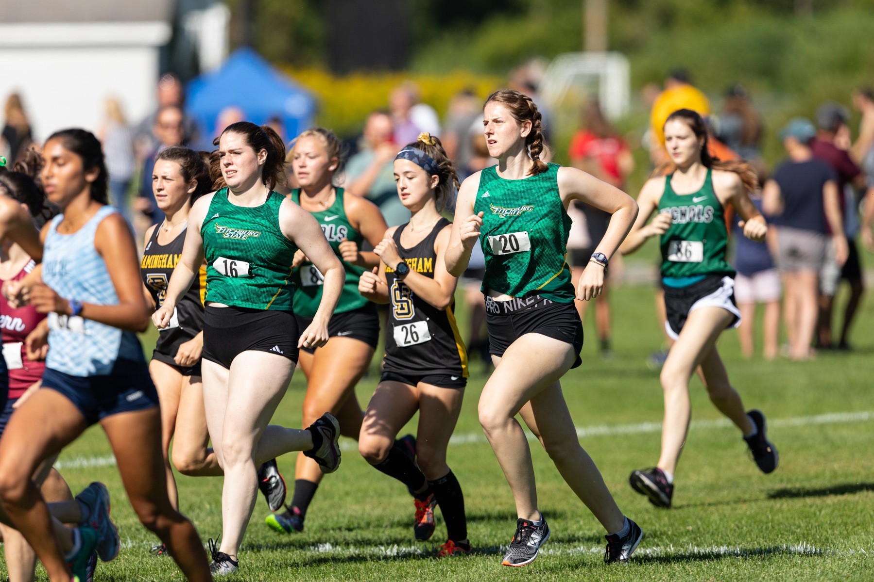 Falcons Compete at Purple Valley Invite