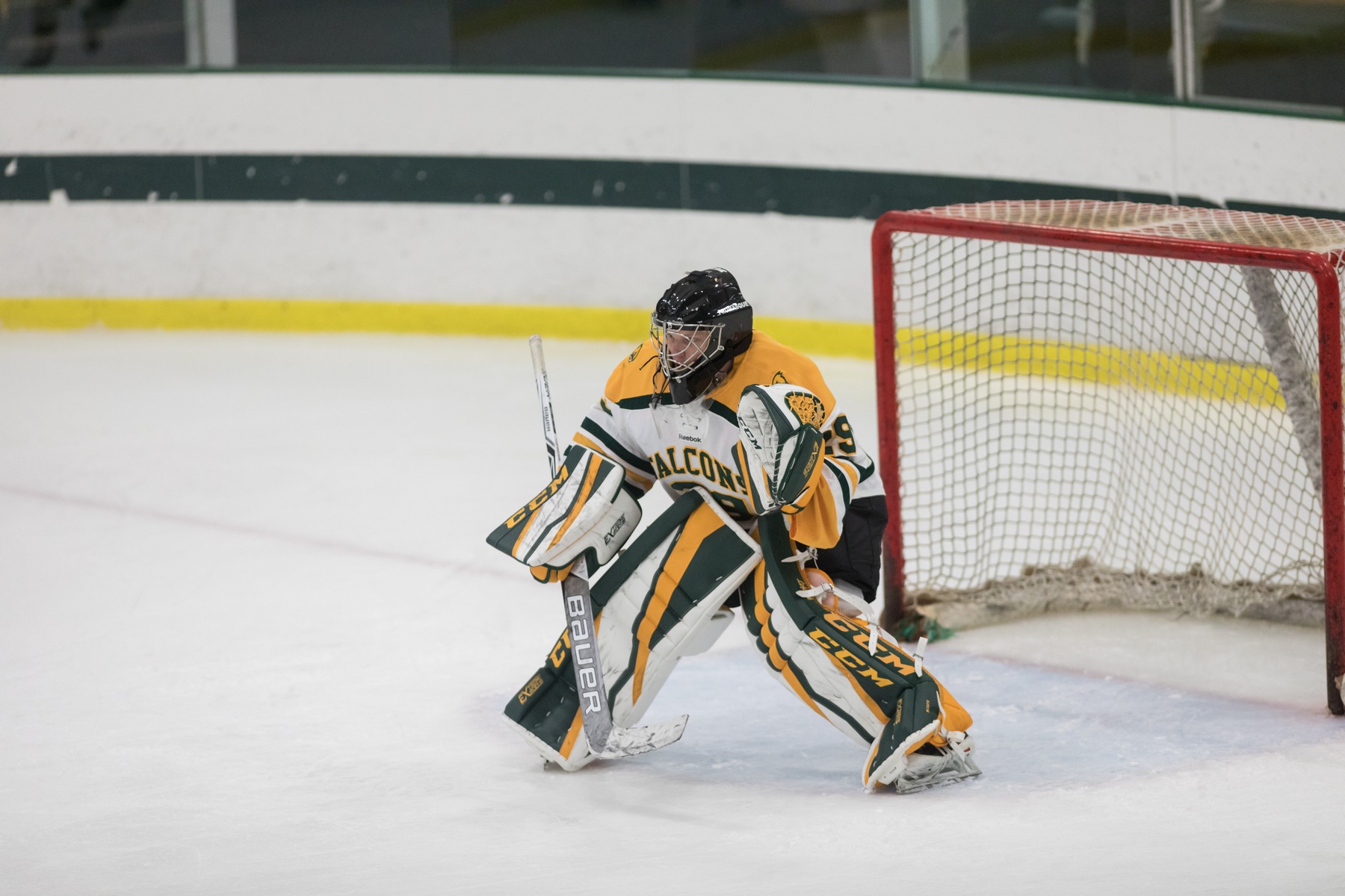 Falcons Nipped By Panthers, 2-0