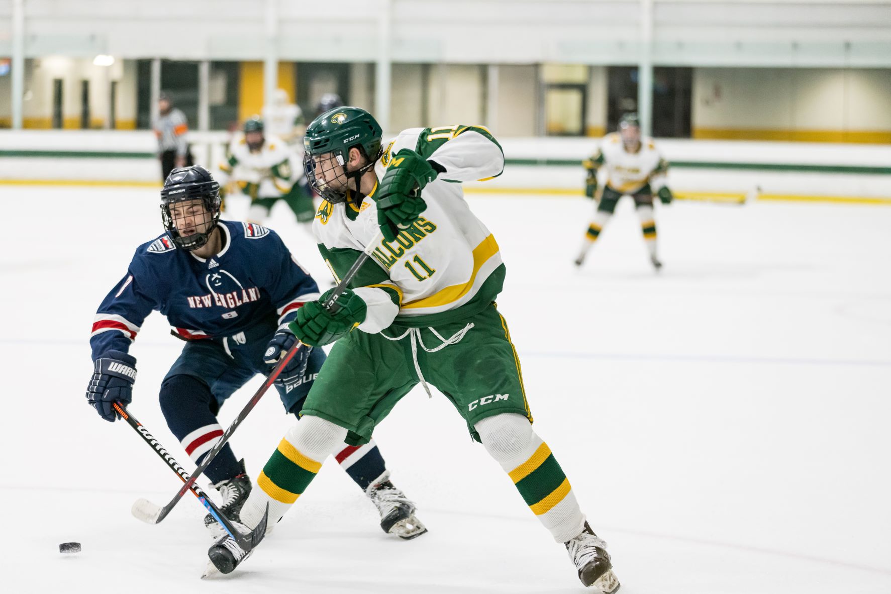 Jumbos Top Falcons in Codfish Bowl Consolation