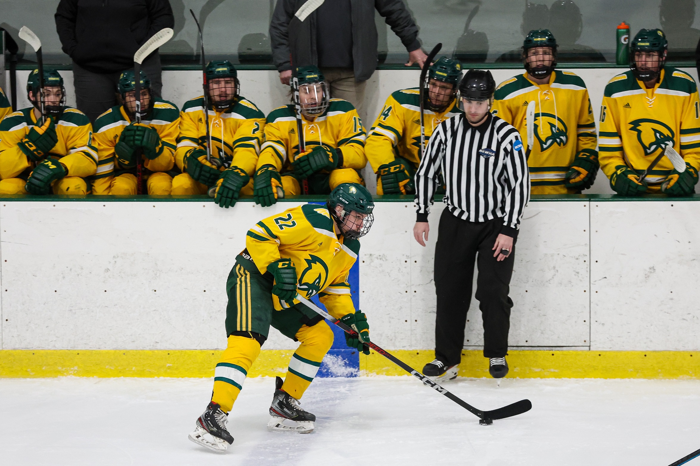 Panthers Skate Past Ice Hockey in Conference Action