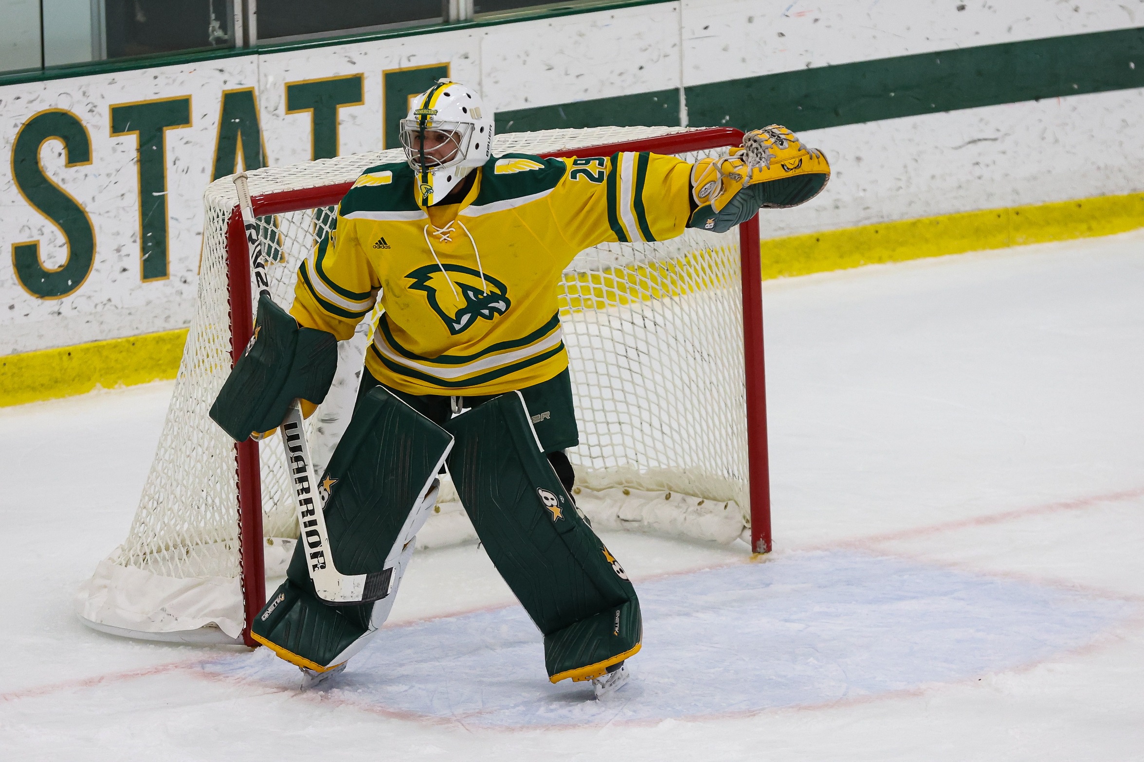 Ice Hockey Falls Short to UMass-Dartmouth