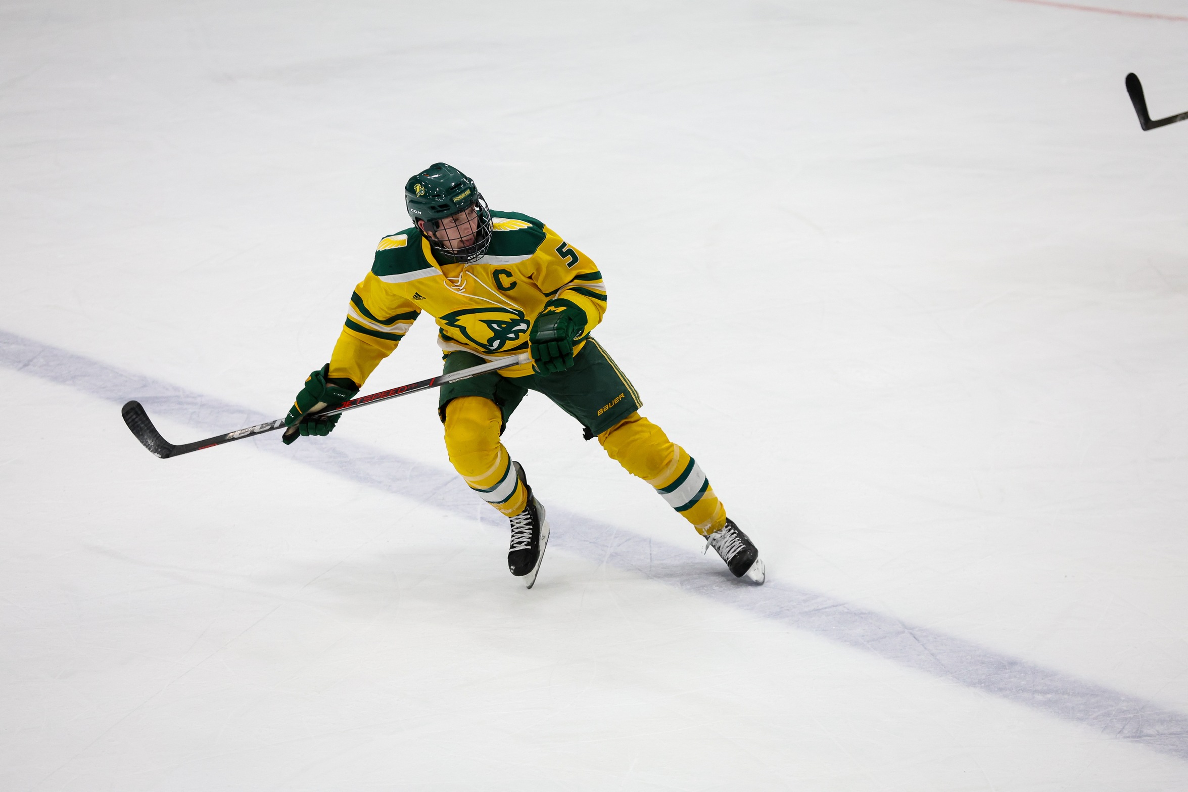 Ice Hockey Falls to Salem