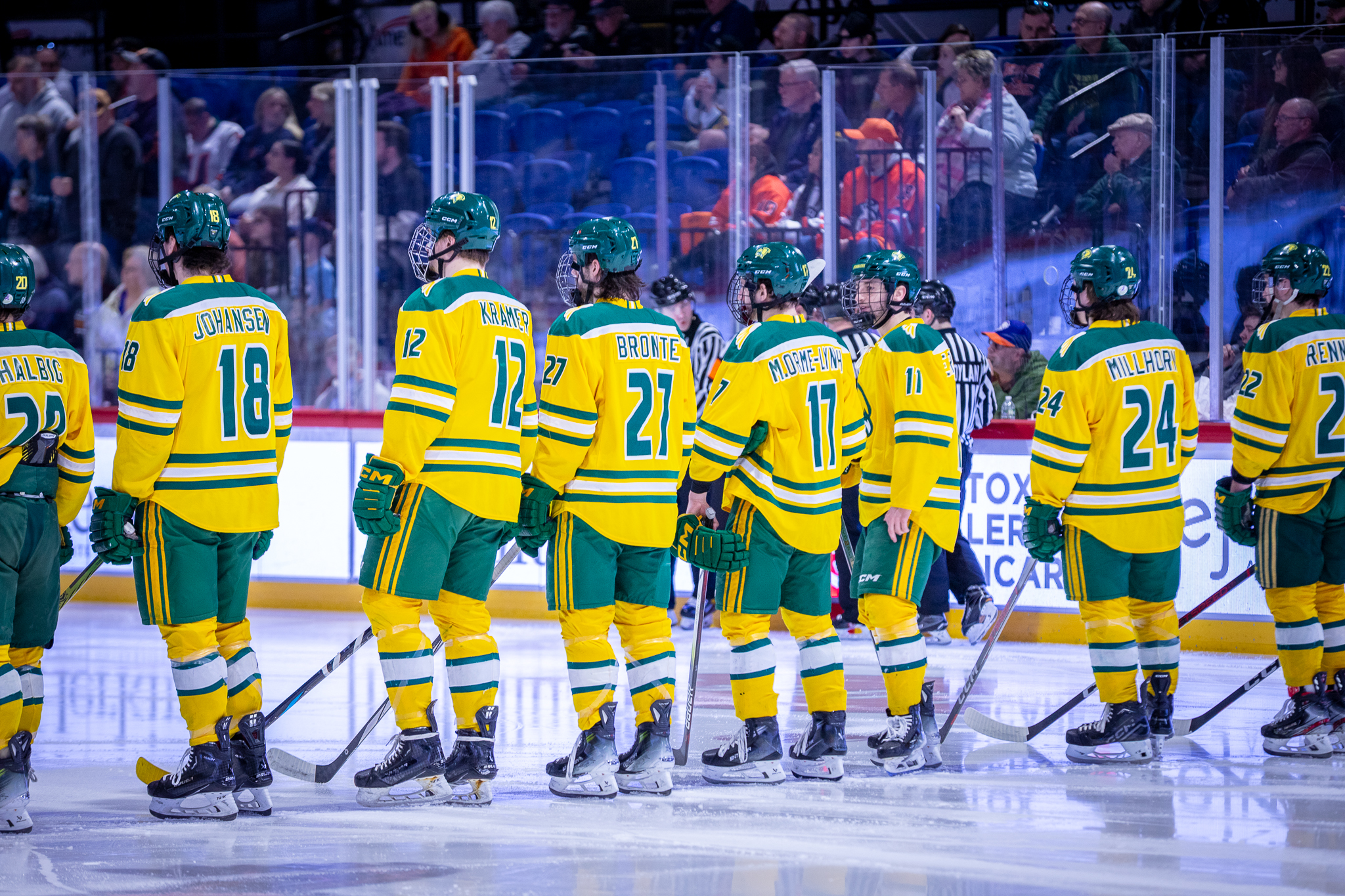 Ice Hockey Falls in NCAA First Round to Utica