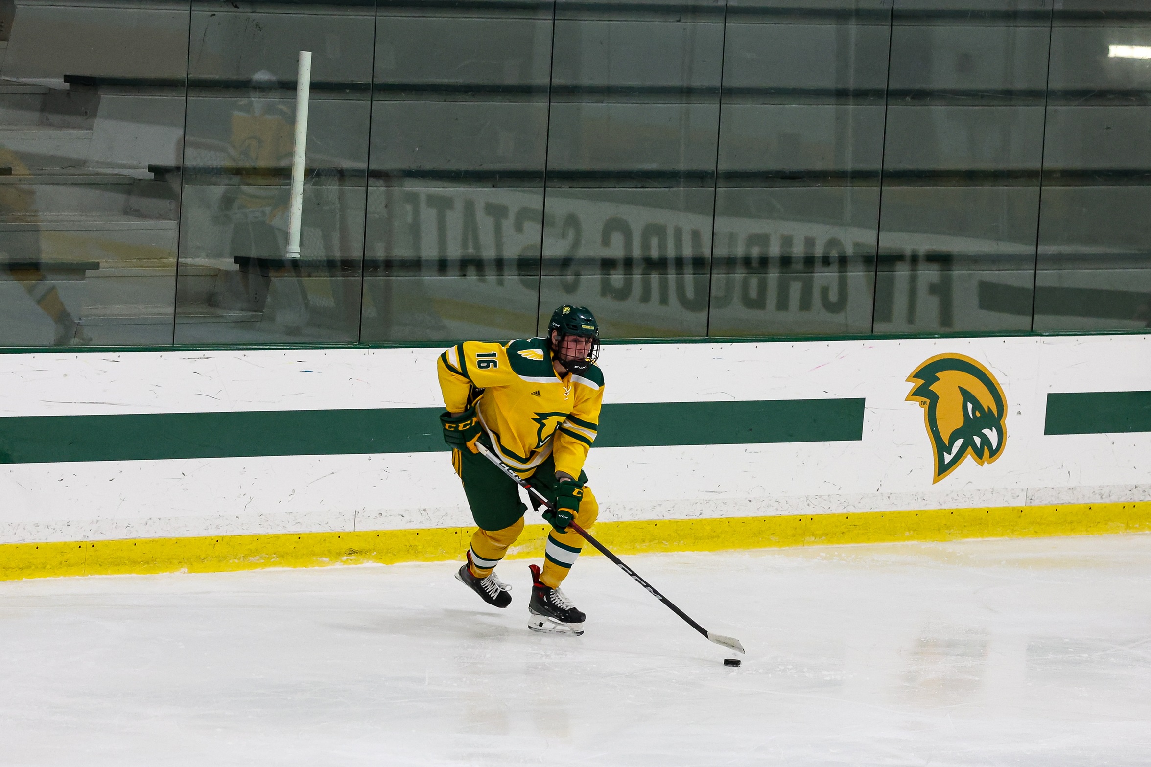 Ice Hockey Falls to Westfield in Suspended Game
