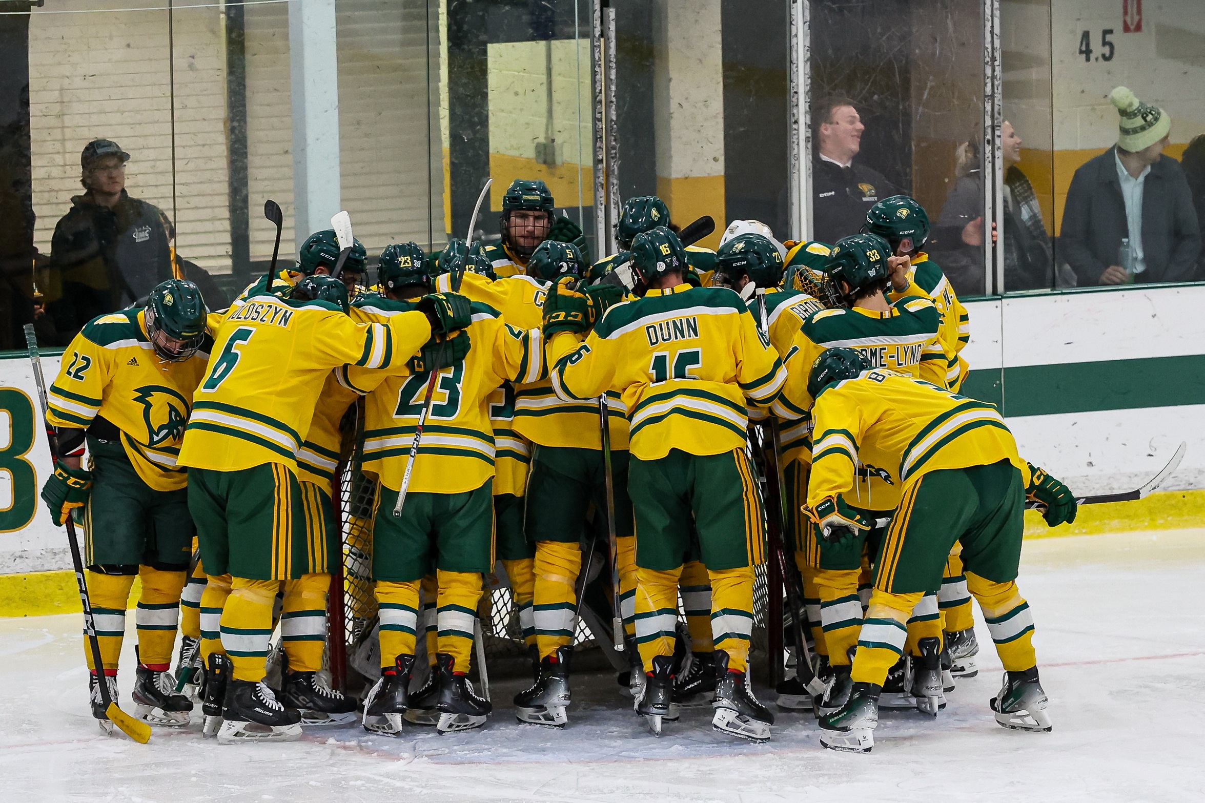 Ice Hockey Topped By Owls