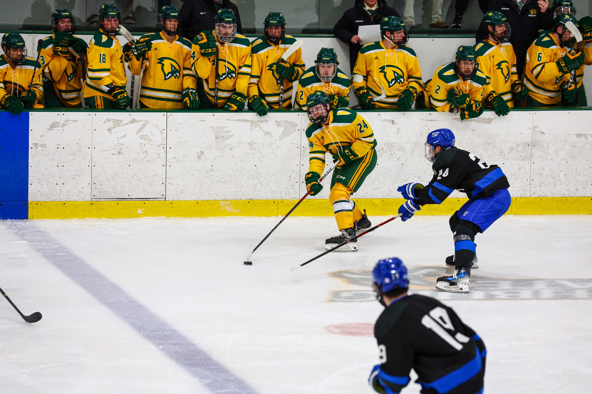 Ice Hockey Soars Past Owls In Conference Tilt