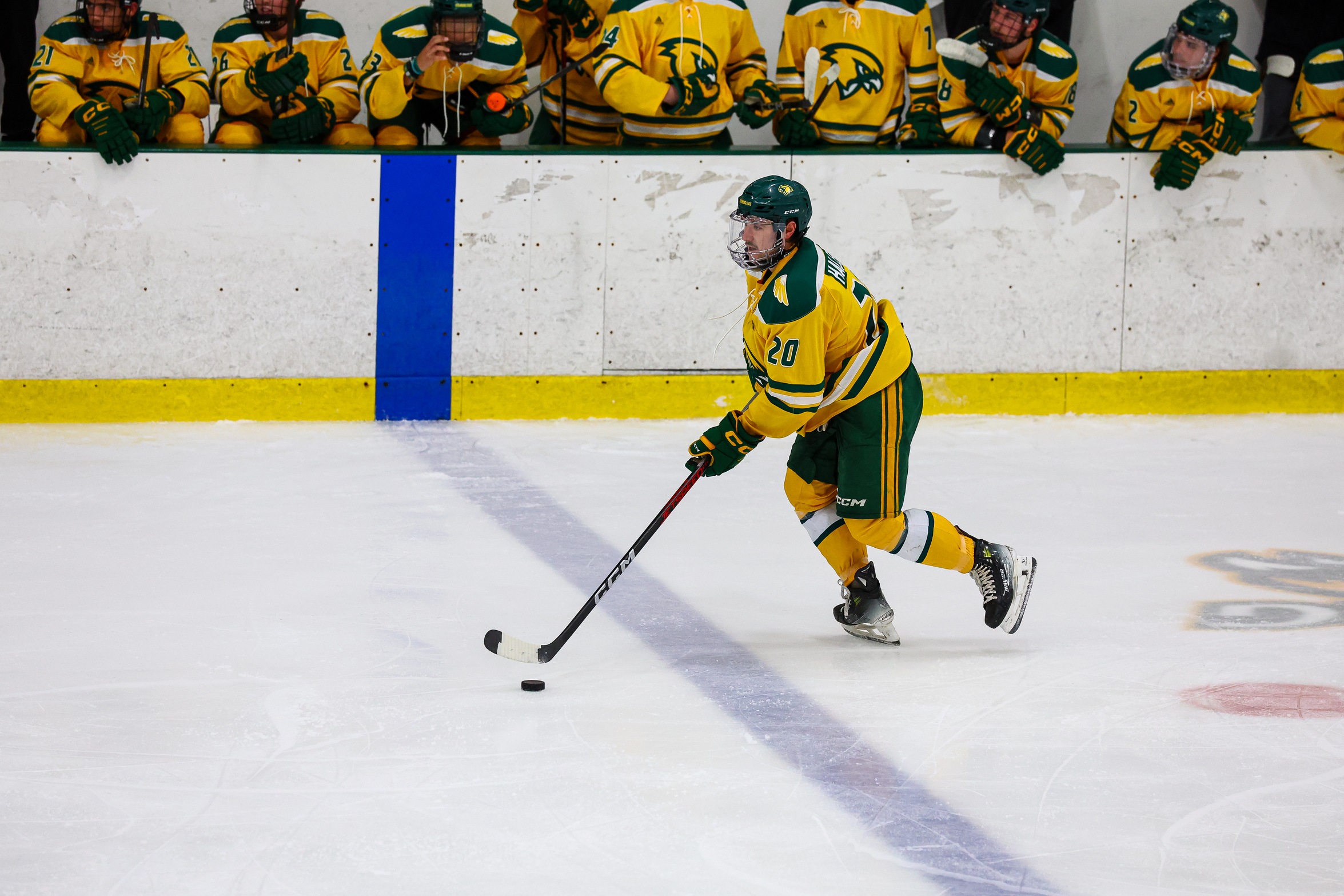 Ice Hockey Edged By Vikings In MASCAC Action