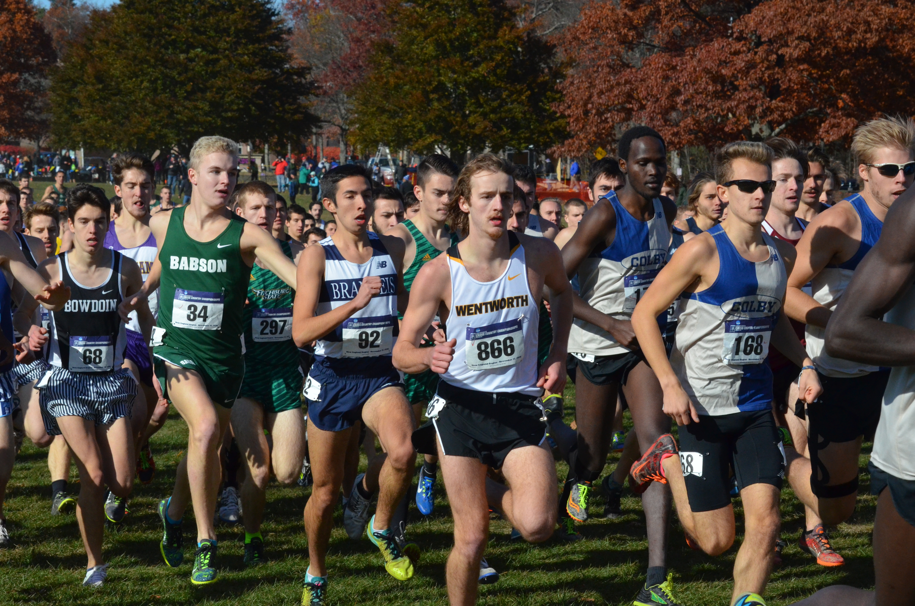 Men's Cross Country Closes Season At NCAA Regional Championship
