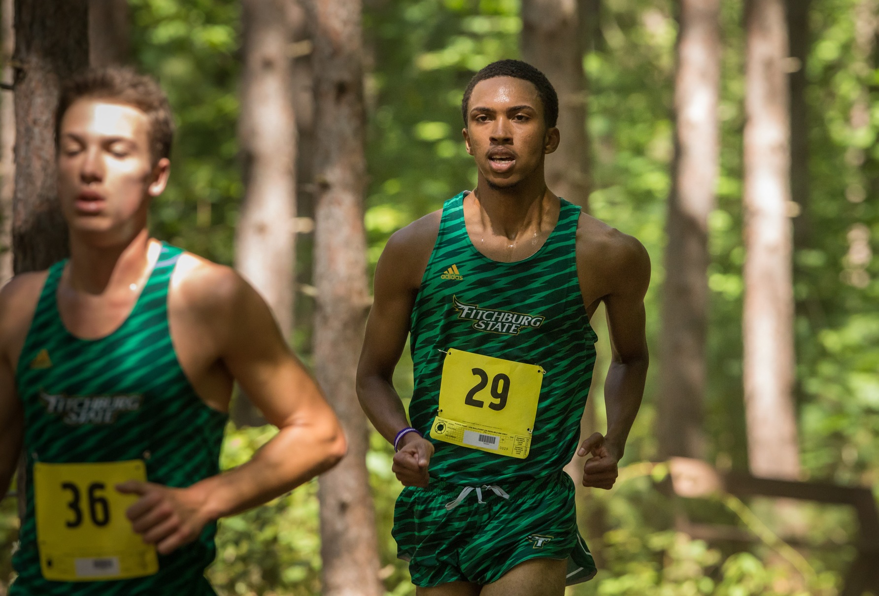 Falcons Shine At Worcester City Meet