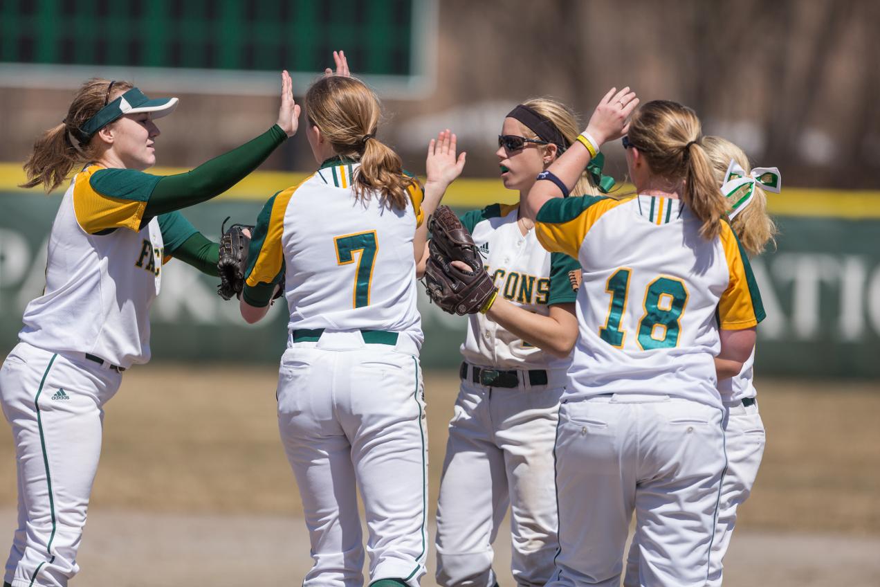 Falcons To Host 2015 Fall Softball Clinic
