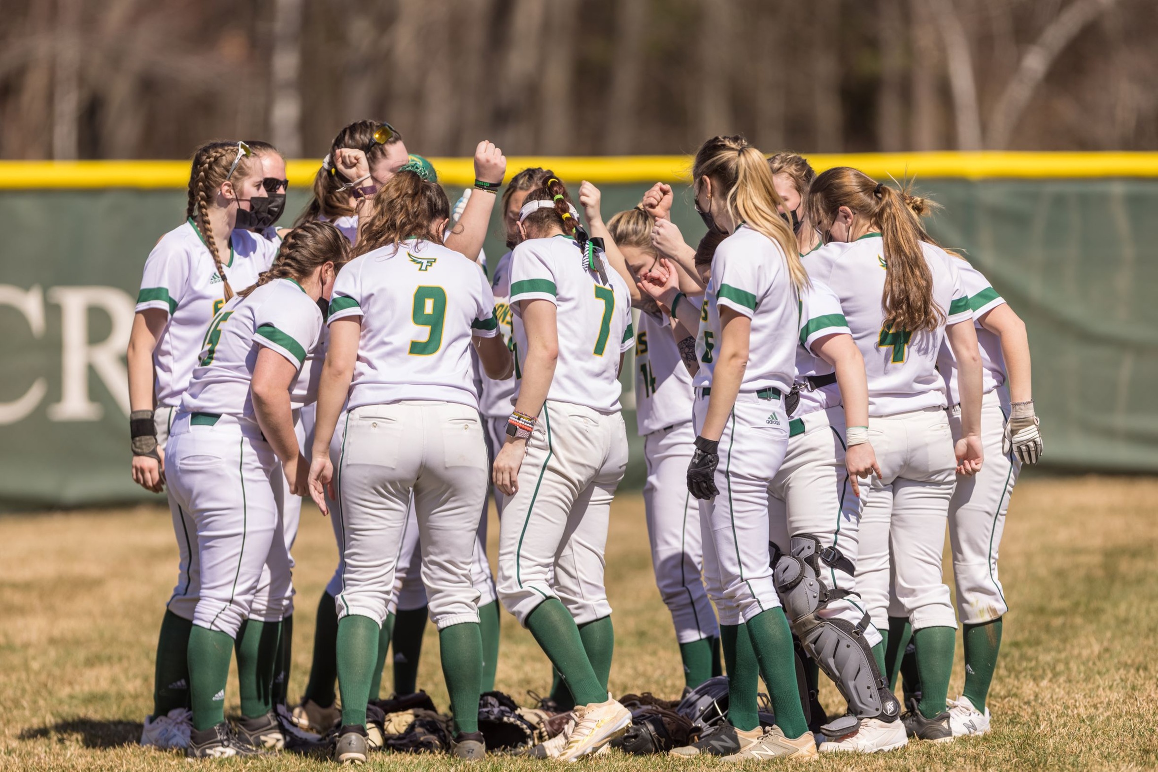 Four Falcons Collect Softball All-Conference Honors &nbsp;