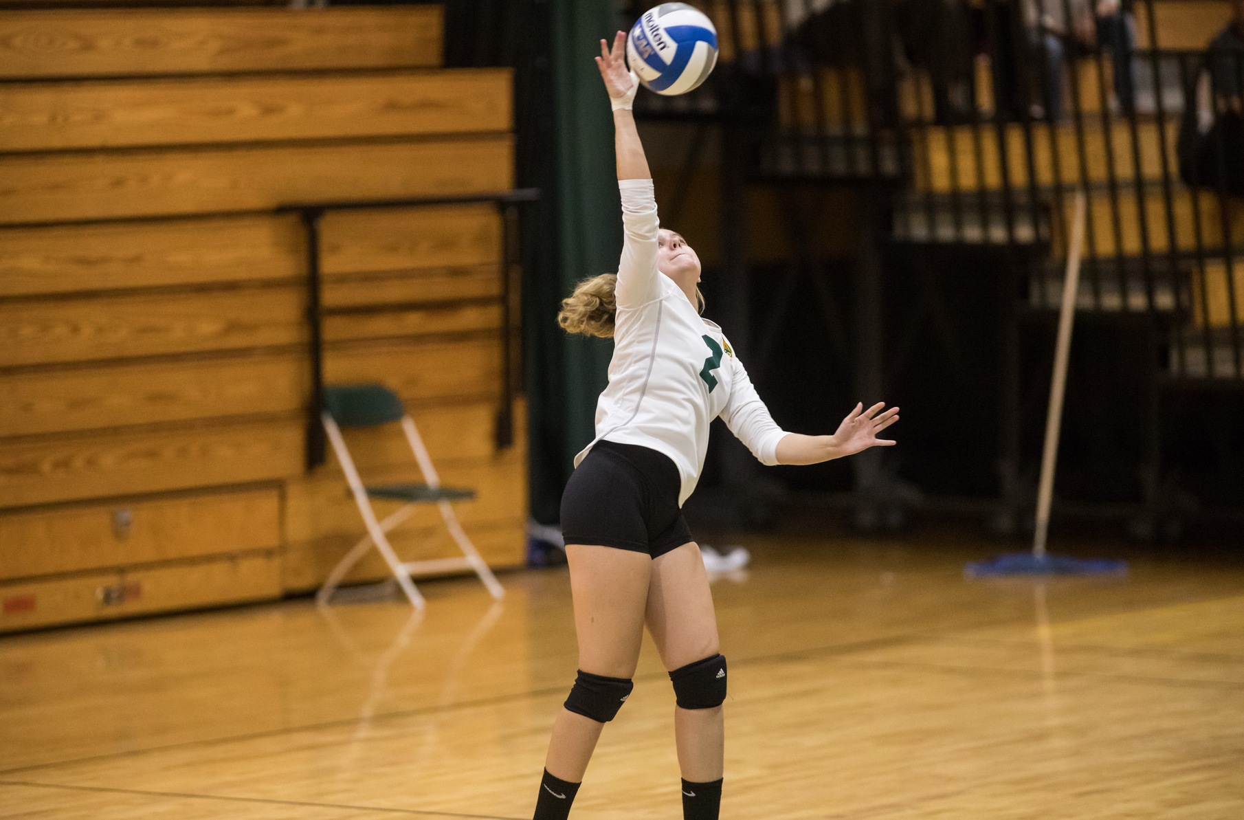 Falcons Topped By Pilgrims, 3-0