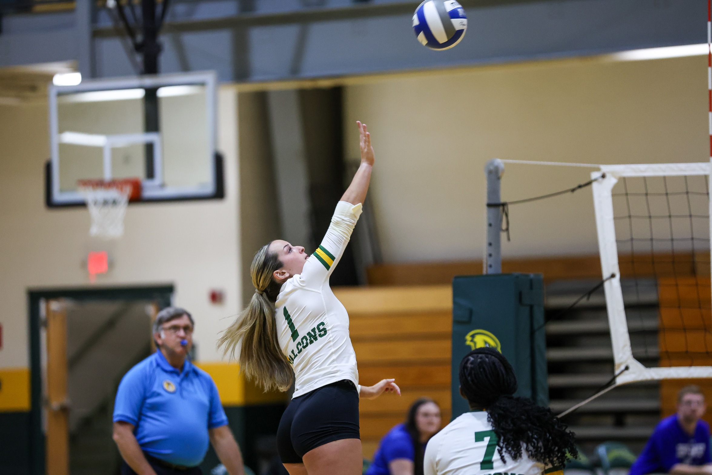 Women's Volleyball  Drops Season Opener To Anchorwomen
