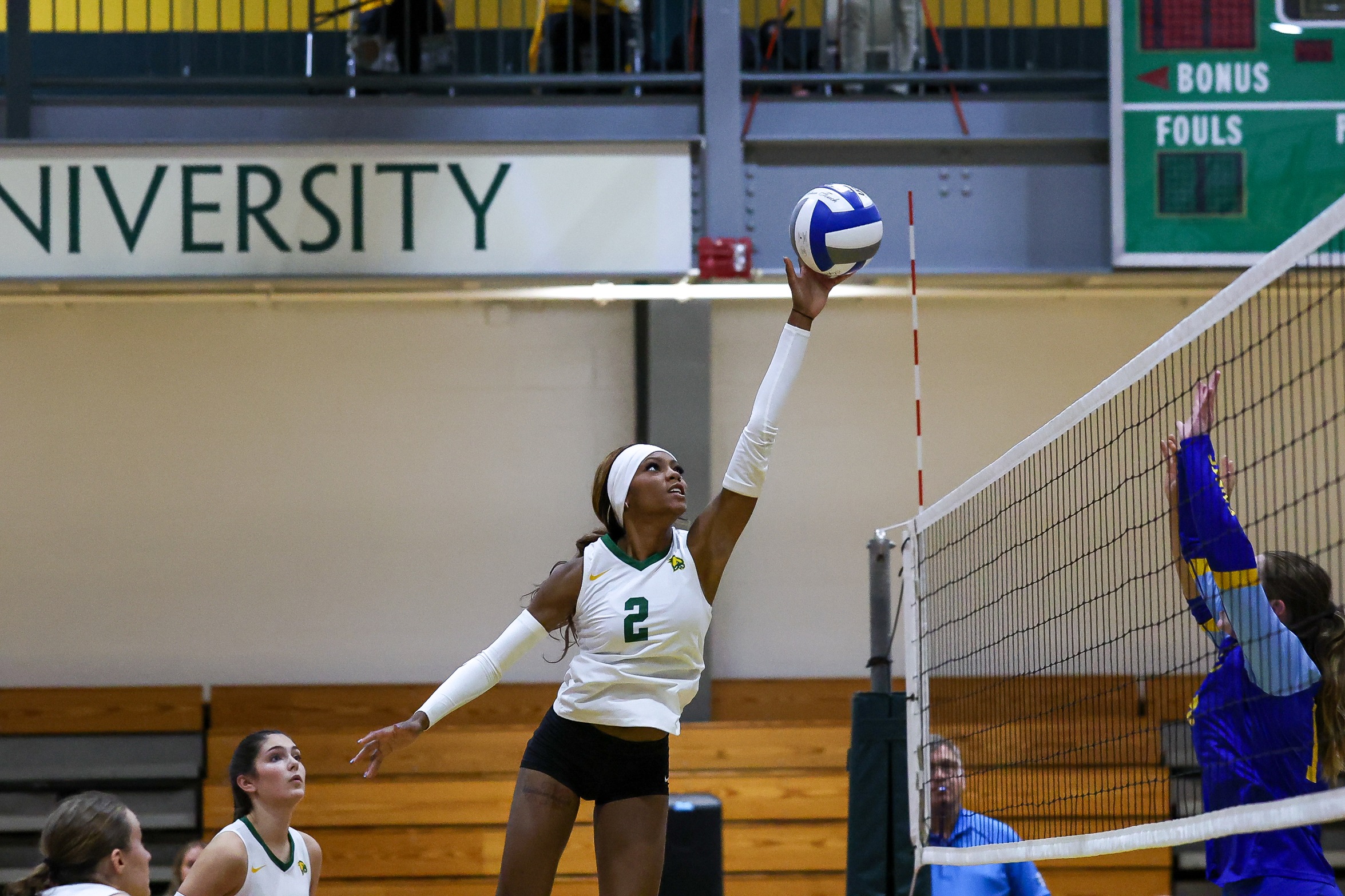 Volleyball Splits Tri-Match with MCLA and Lesley