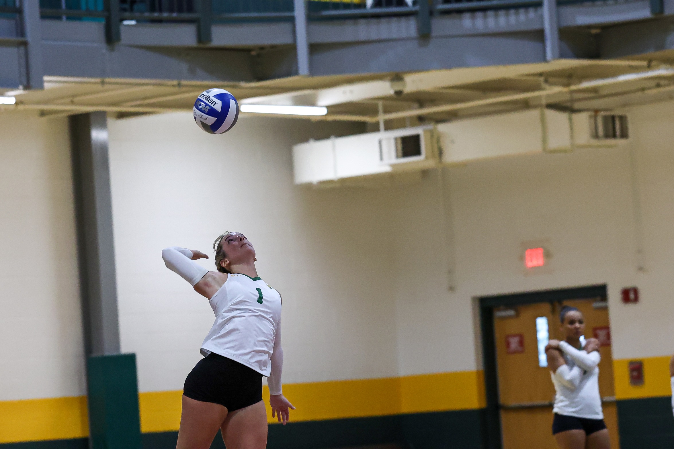 Women's Volleyball Falls To Warriors And Spartans In Non-Conference Tri-Match