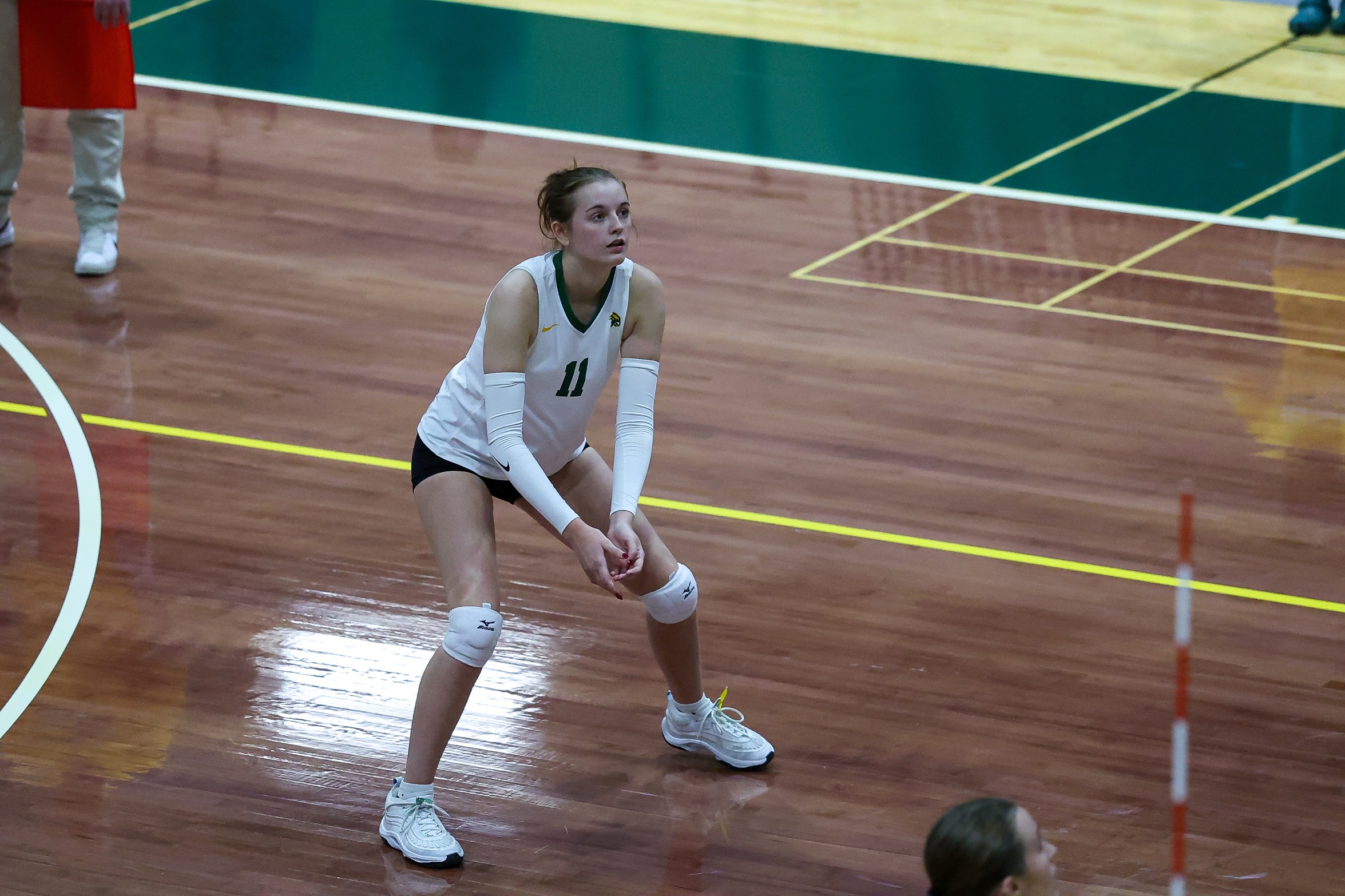 Women&rsquo;s Volleyball Blanks AMCATS