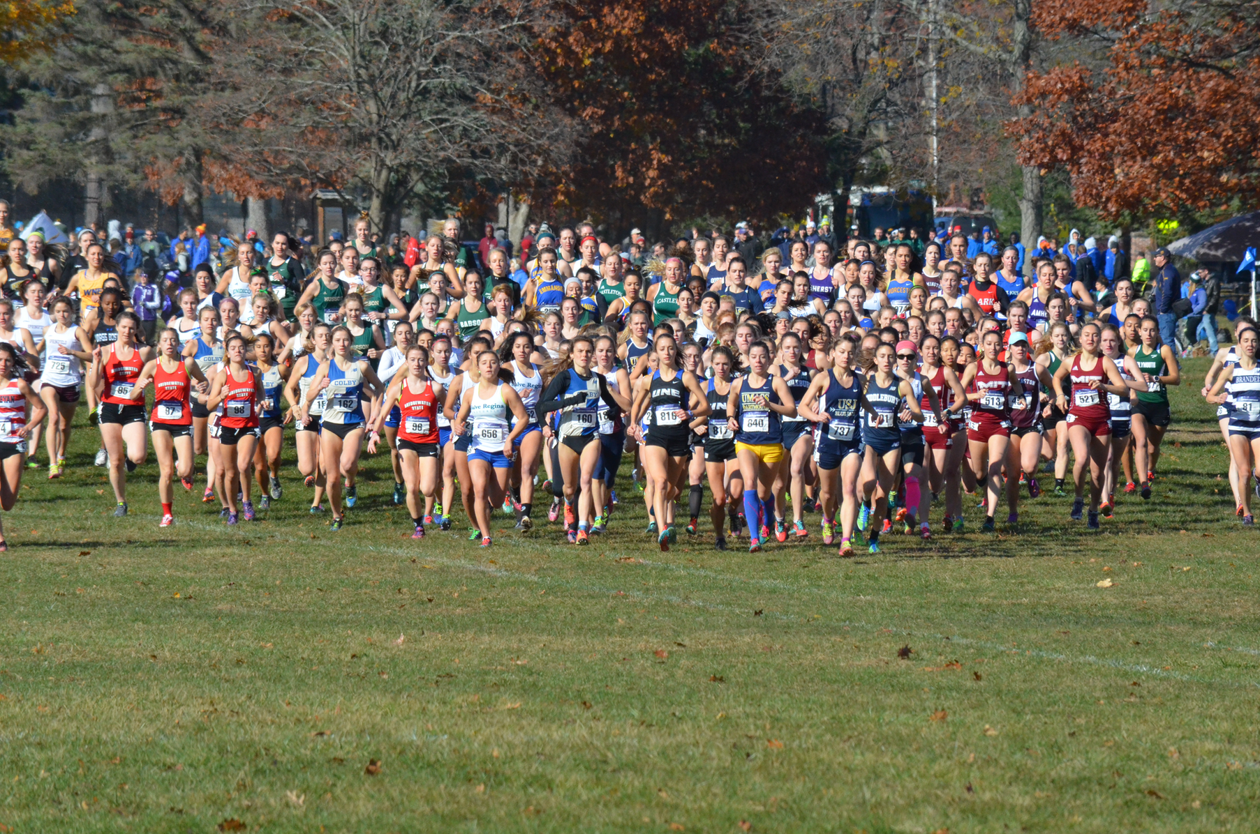 Women's Cross Country wraps up season at NCAA New England meet